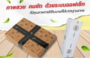 รูปแบบกล่องบรรจุภัณฑ์พิมพ์ด้วยระบบออฟเช็ท ที่ผู้ประกอบการมักนิยมเลือกใช้งาน